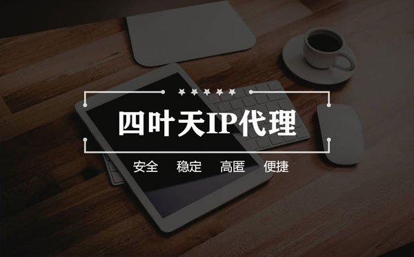 【南充代理IP】如何快速搭建代理IP？怎么检查代理的效果？